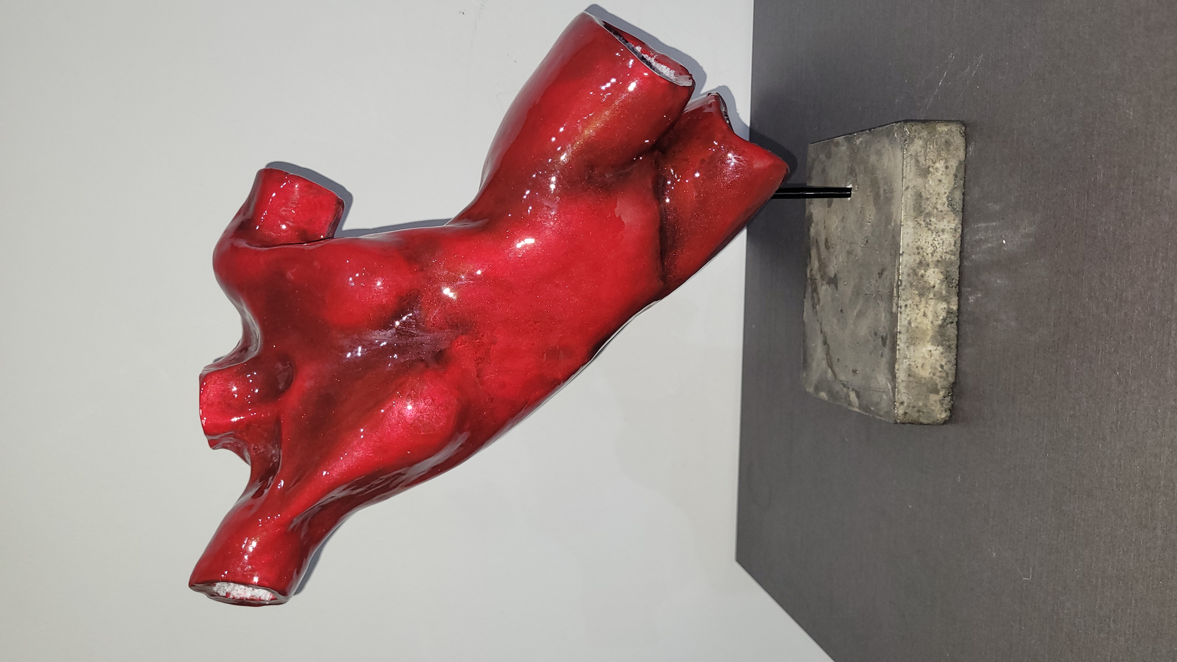 NON SONO SOLO UN CORPO